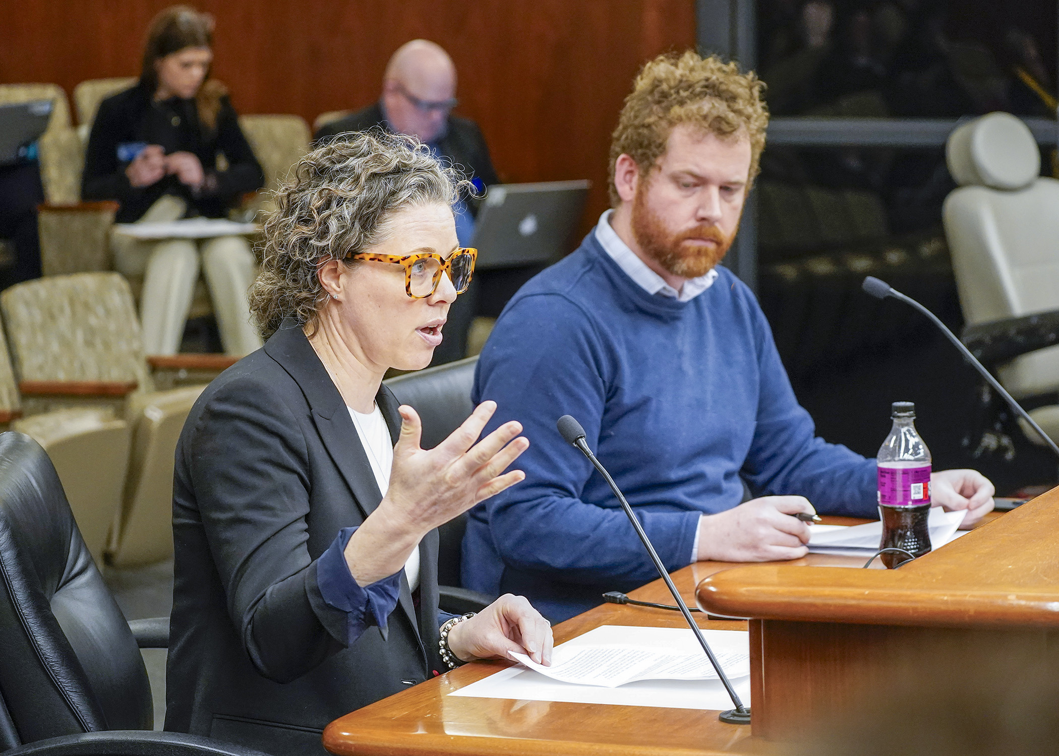 Dr. Sarah Traxler, chief medical officer for Planned Parenthood North Central States, testifies in support of a bill sponsored by Rep. Zack Stephenson, right, that would require health plans to cover abortions. (Photo by Andrew VonBank)